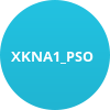 XKNA1_PSO